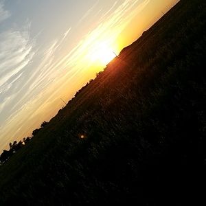 Meet your Posher, Dixon